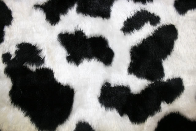 Animal Fur Black Cow